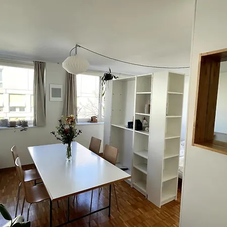 Apartment Helles Modernes Studio In Zuerich Zurich